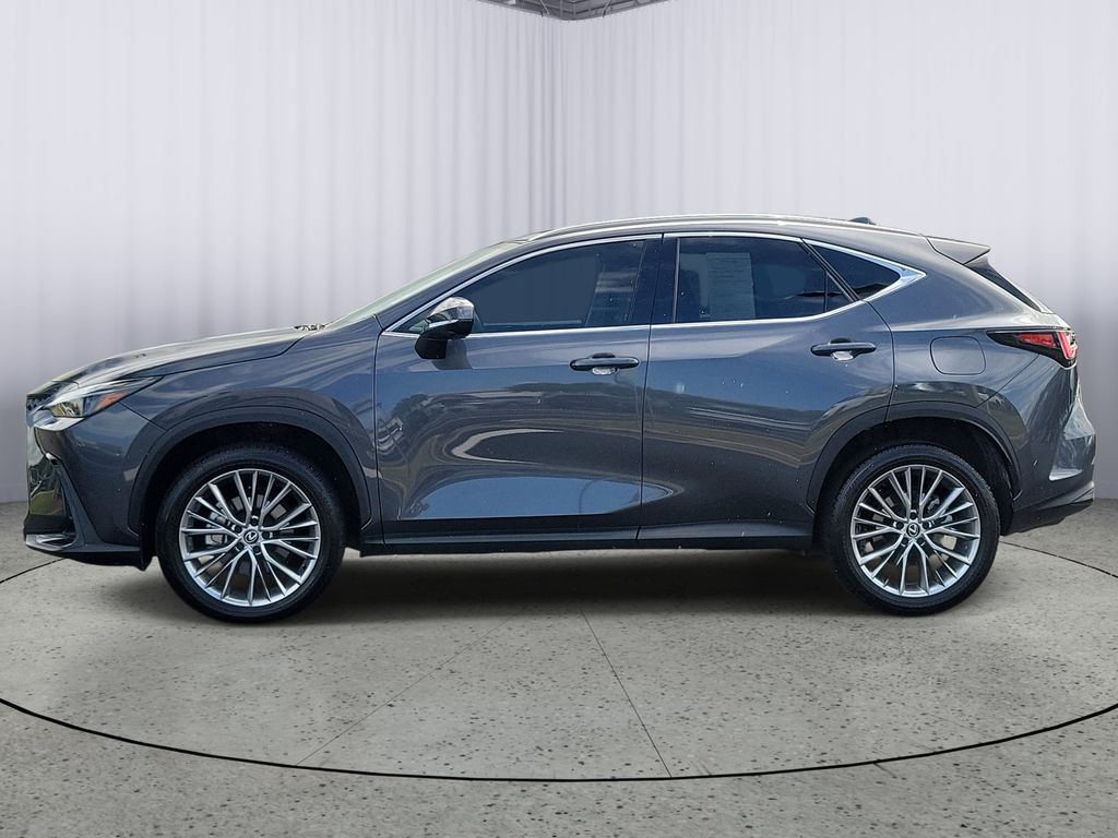 used 2025 Lexus NX car, priced at $44,788