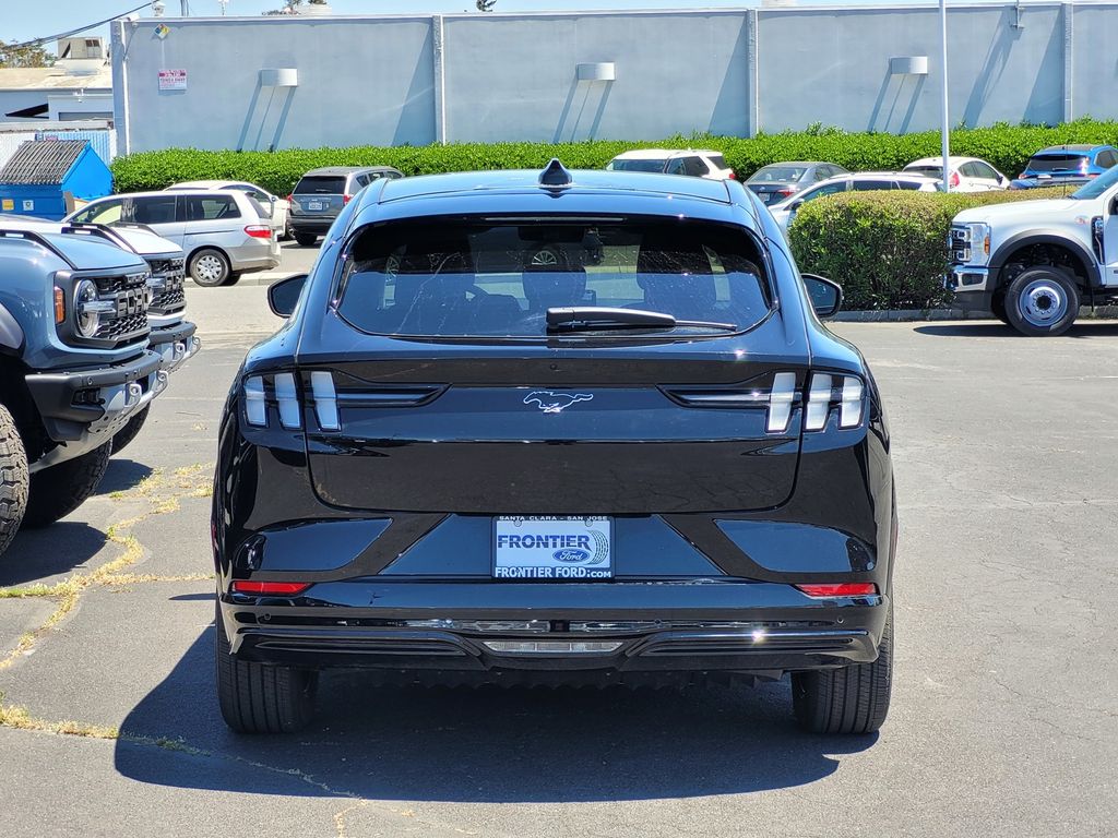 Car Picture