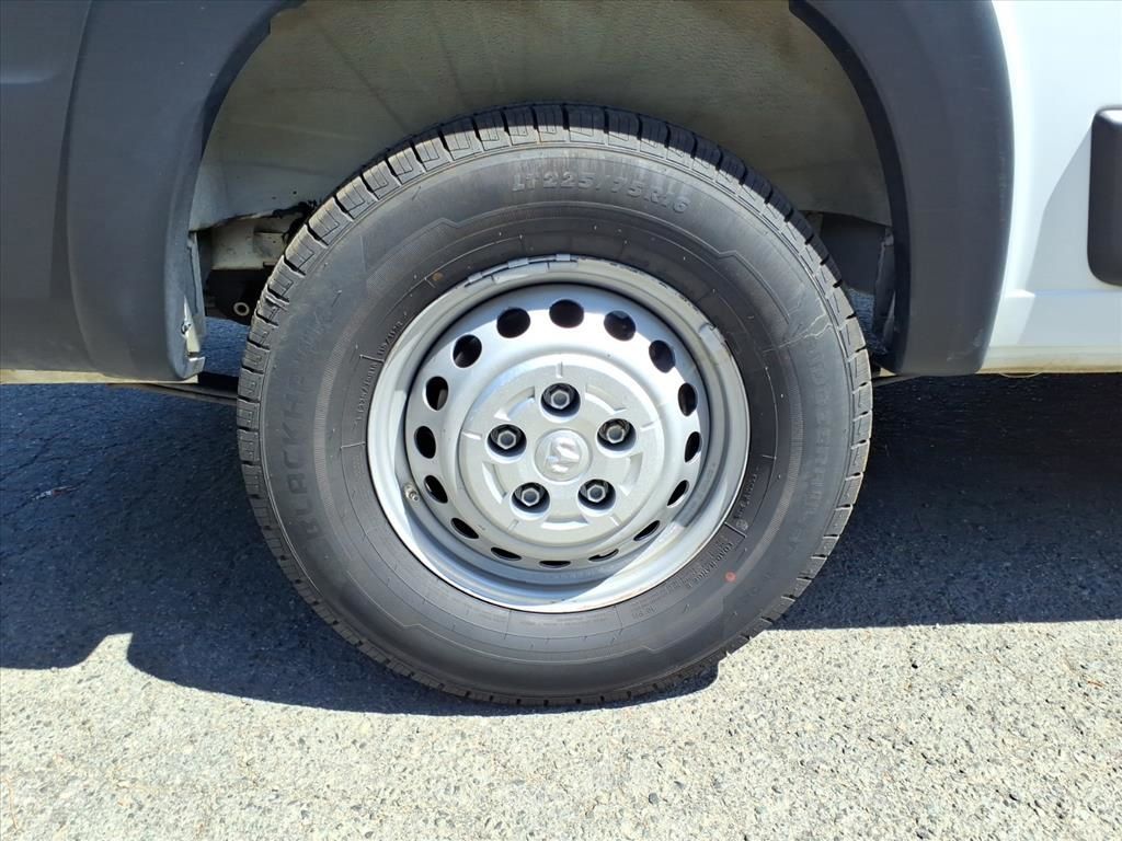 RamProMaster 250033