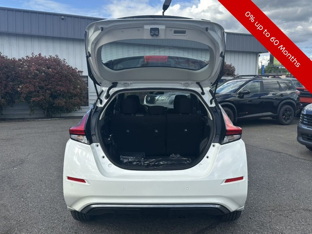 Leaf SV Plus