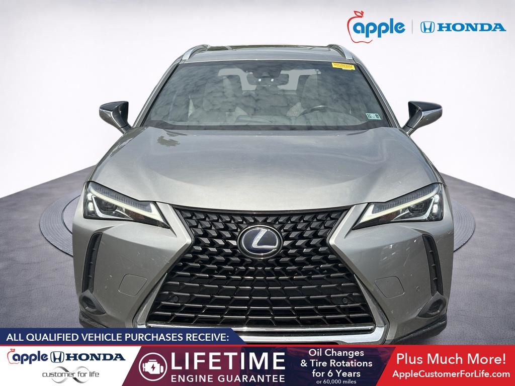 2019 Lexus UX 250h 