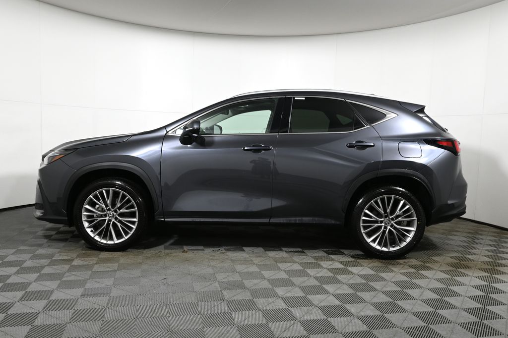 Thumbnail: 2025 Lexus NX - 2