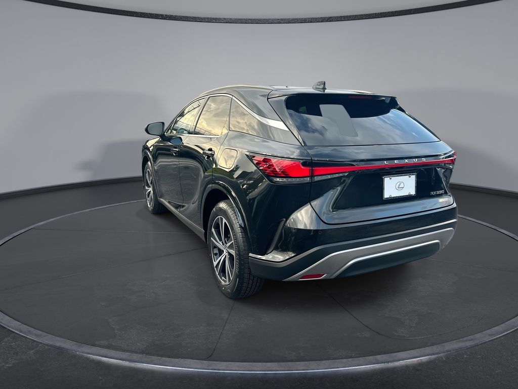 Thumbnail: 2024 Lexus RX - 10