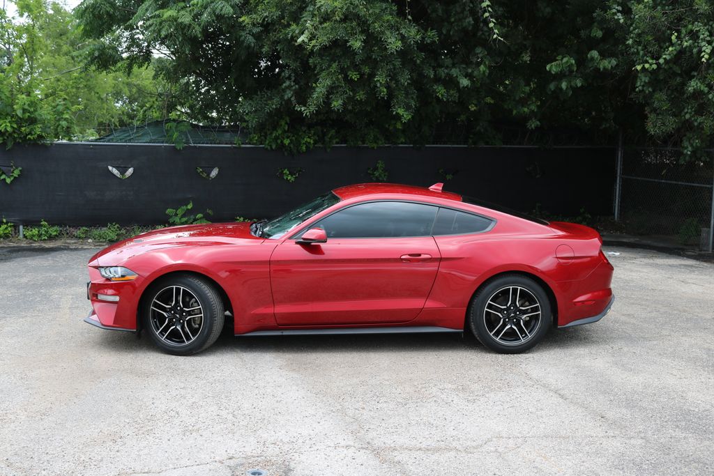 Used Car 2020 Ford Mustang  Ecoboost Premium For Sale Under $25,000 In Austin, Texas