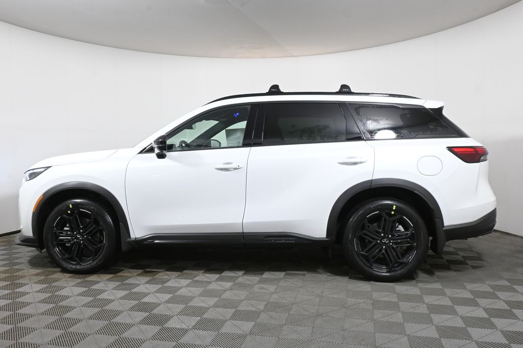 Thumbnail: 2026 INFINITI QX60 - 2