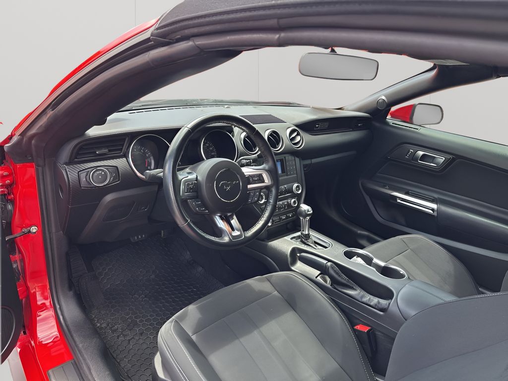 Used Car 2020 Ford Mustang  Ecoboost For Sale Under $25,000 In Austin, Texas