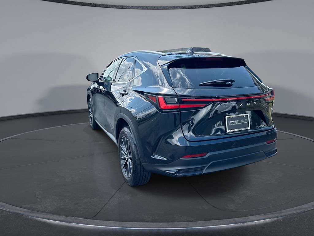 Thumbnail: 2024 Lexus NX - 10