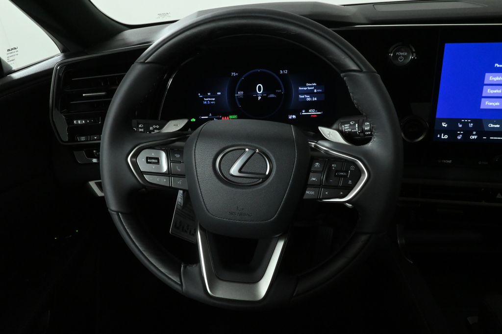 2025 Lexus RX  19