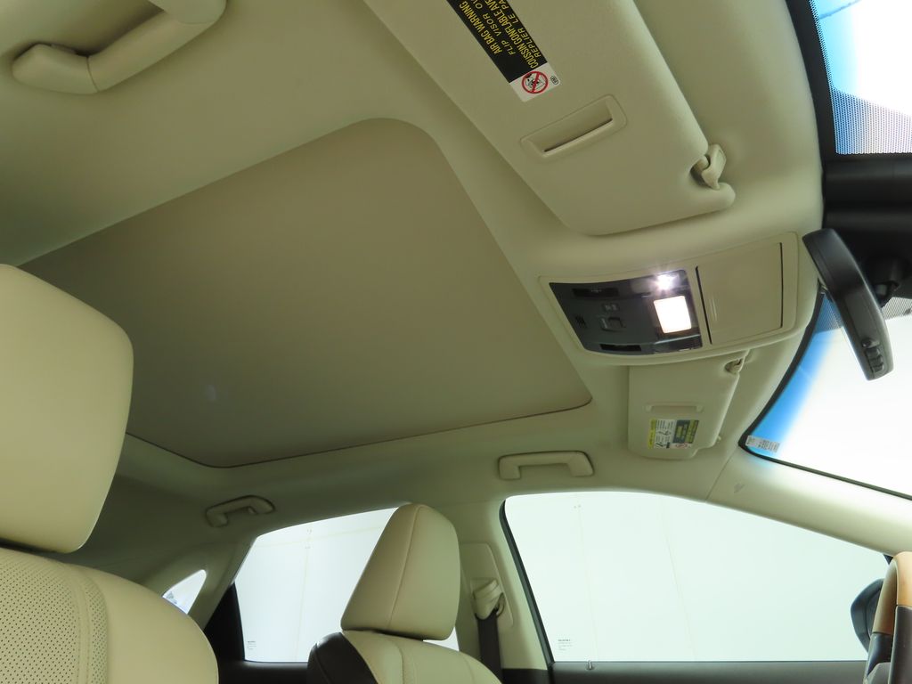 Thumbnail: 2019 Lexus RX - 18