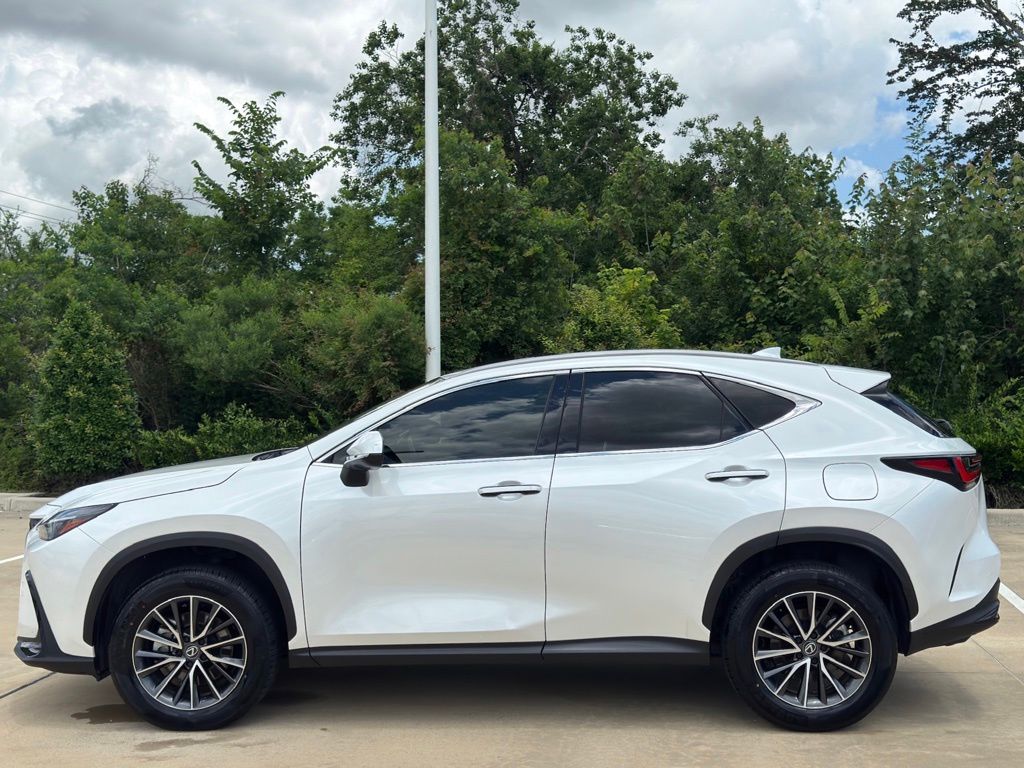 2025 Lexus NX 250 Premium White at Don McGill Toyota