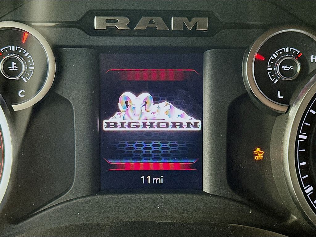 Ram350011