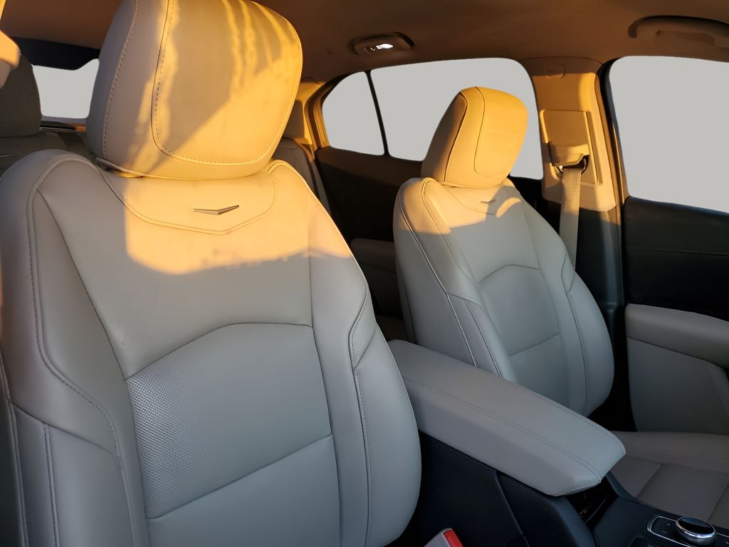 Used Car 2020 Cadillac Xt4  Premium Luxury For Sale Under $30,000 In Austin, Texas