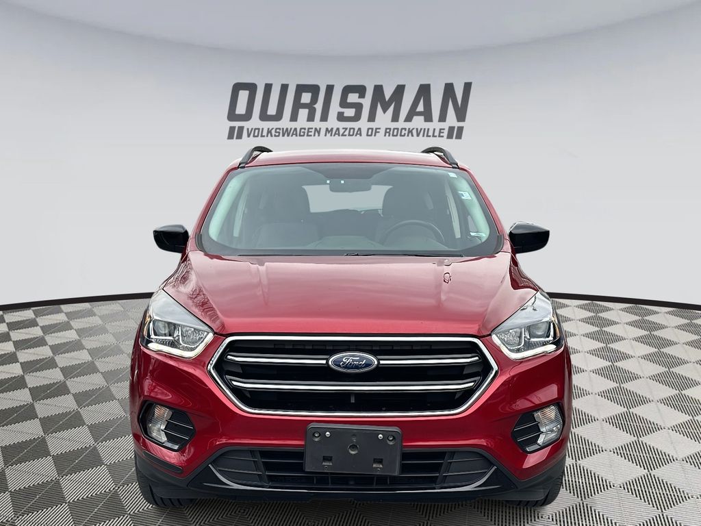 2019 Ford Escape SE photo