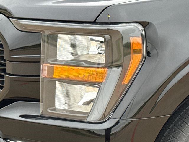 Used 2023 Ford F-150 Truck