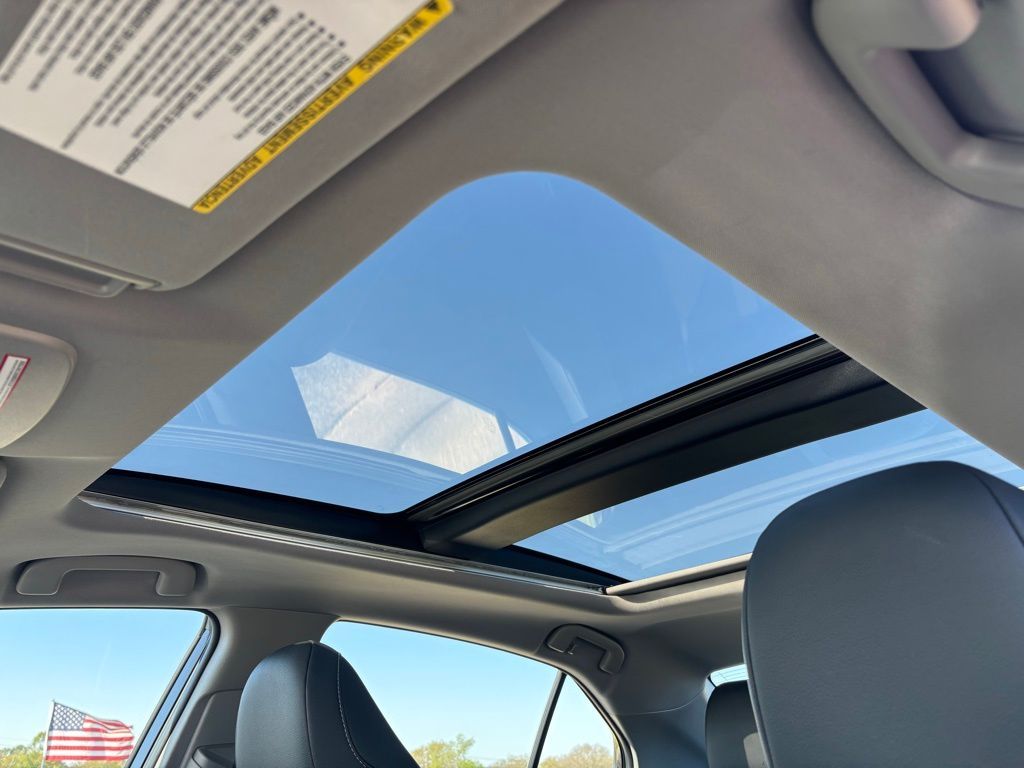 2019 Toyota Camry XSE photo