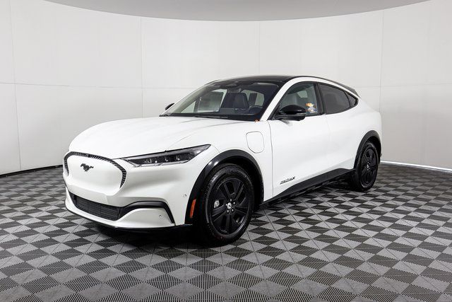 New 2023 White Ford California Route 1 image 6