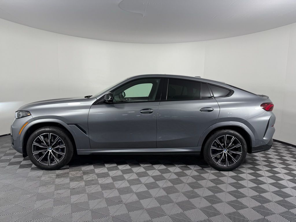 Thumbnail: 2024 BMW X6 - 8