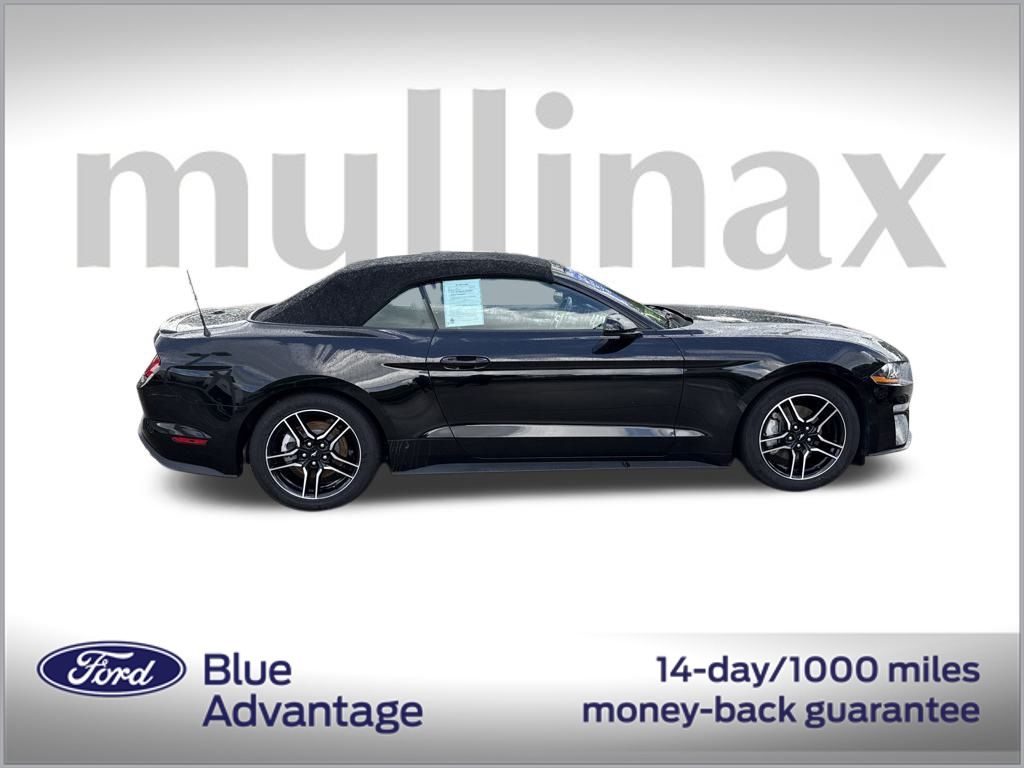 2023 Ford Mustang EcoBoost Premium photo 2