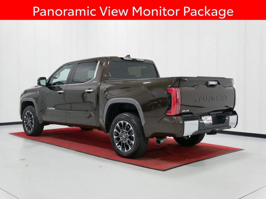 2025 Toyota Tundra Limited - Photo 10