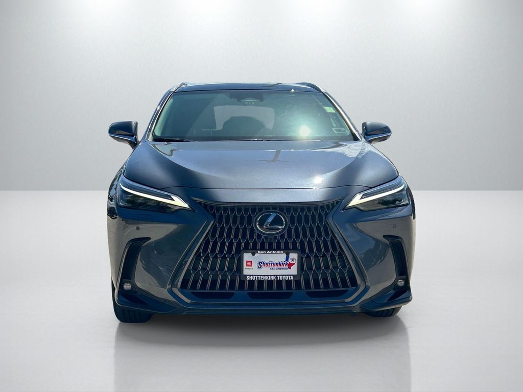 Used 2025 Lexus NX SUV