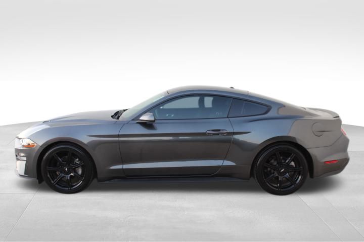 Used Car 2019 Ford Mustang  Ecoboost For Sale Under $20,000 In Georgetown, Texas