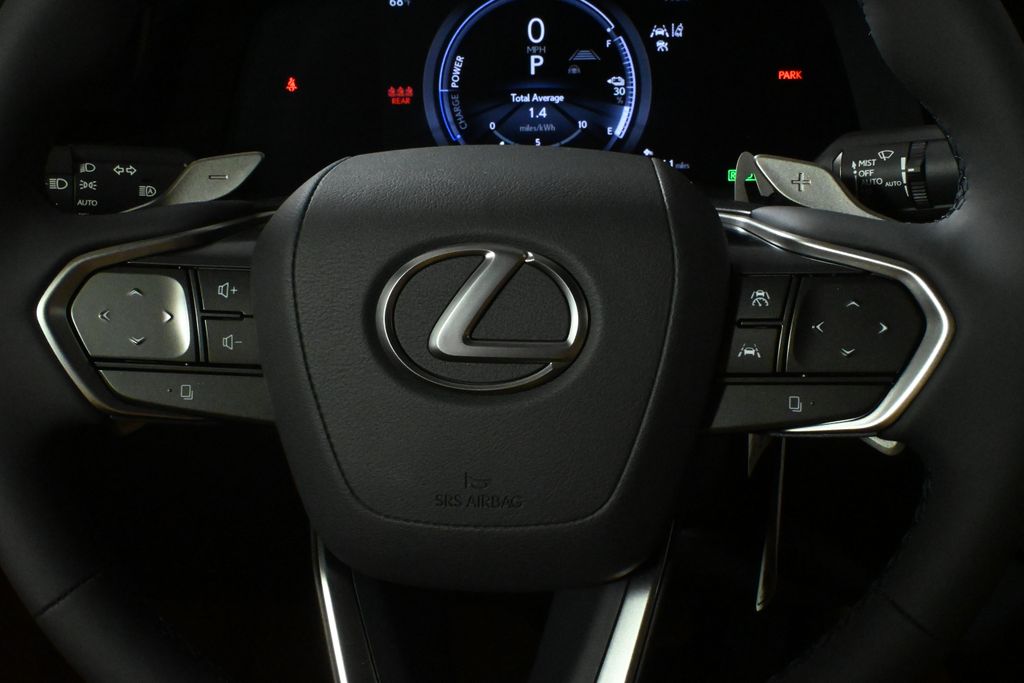 2025 Lexus RZ  19