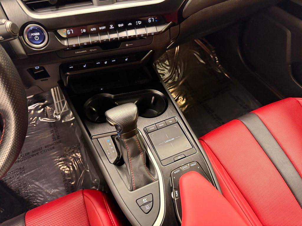 2021 Lexus UX 250h 19