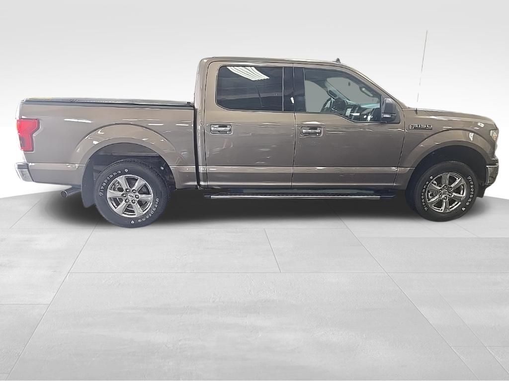 Used 2019 Ford F-150 Truck