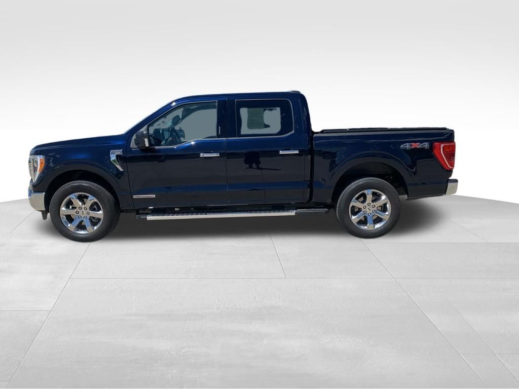 Used 2023 Ford F-150 Truck
