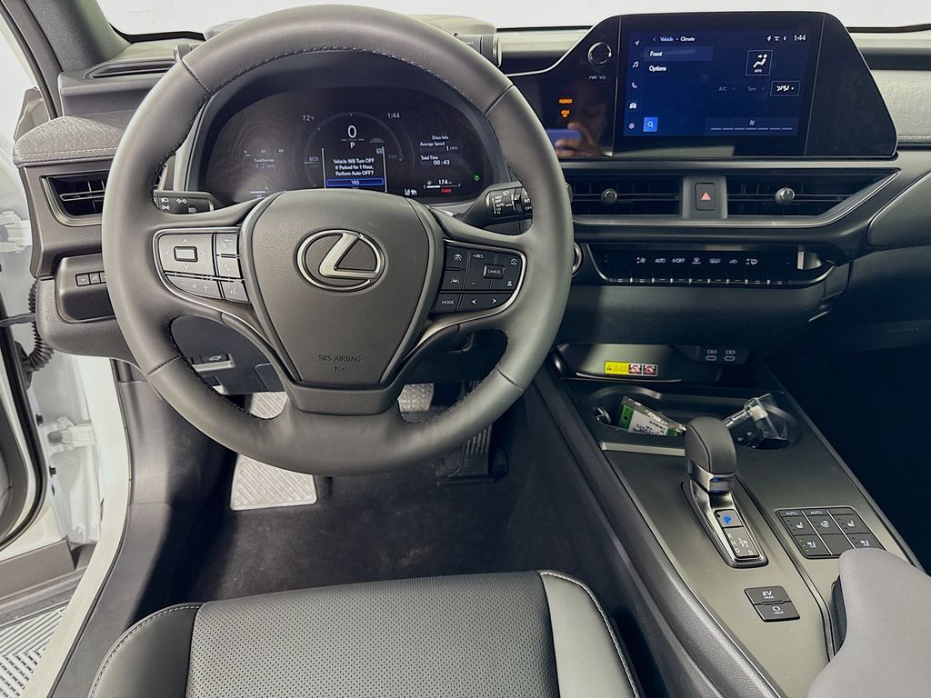 2025 Lexus UX 300h 19