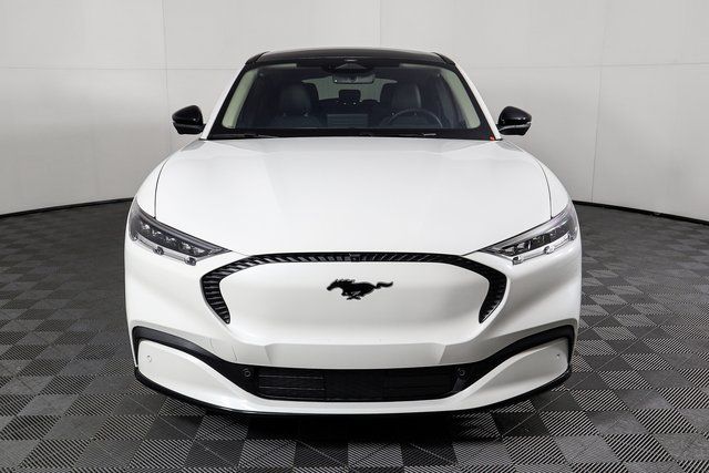 New 2023 White Ford California Route 1 image 7