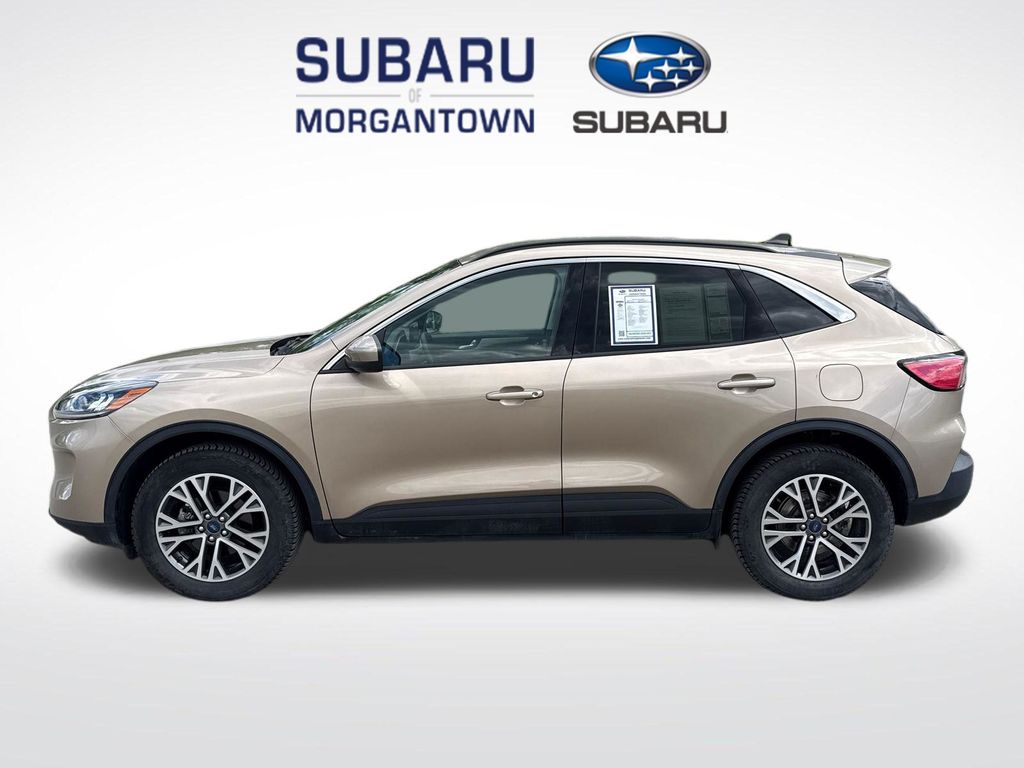Desert Gold Metallic 2021 Ford Escape SEL AWD SUV / Crossover All-Wheel Drive 8-Speed Automatic