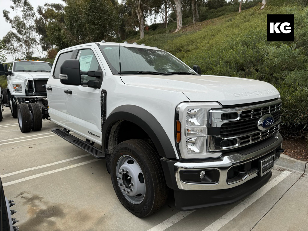 New 2024 Ford F-450sd Xl With 12 Stakebed 4d Crew Cab Chassis In Buena 