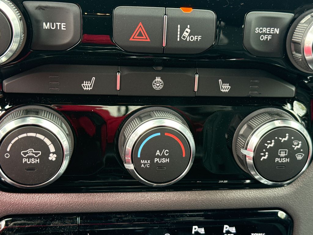 New 2026 Black Ram Big Horn/Lone Star image 29