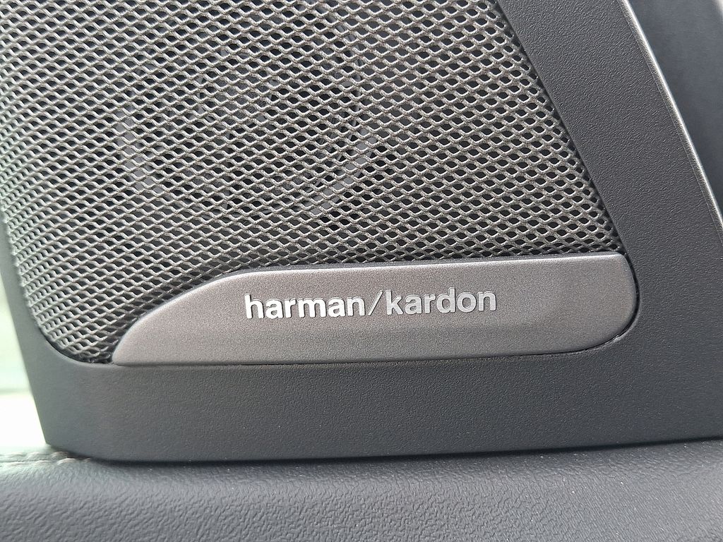 Thumbnail: 2025 BMW X5 - 25