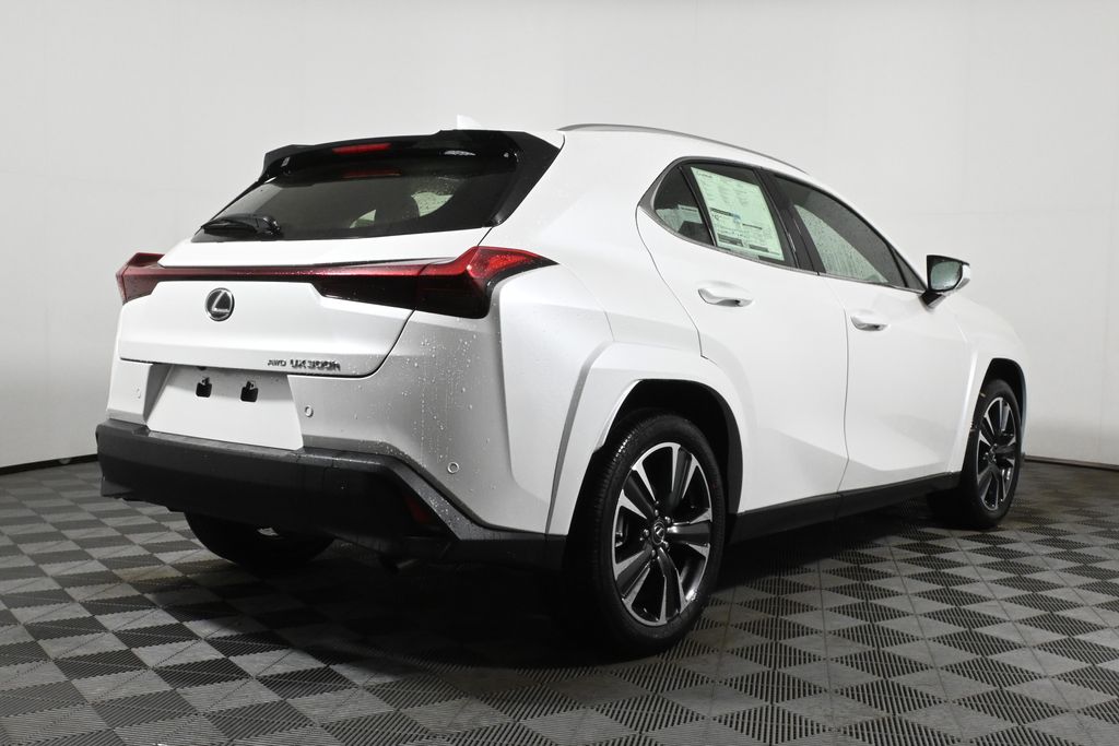 2025 Lexus UX 300h 7