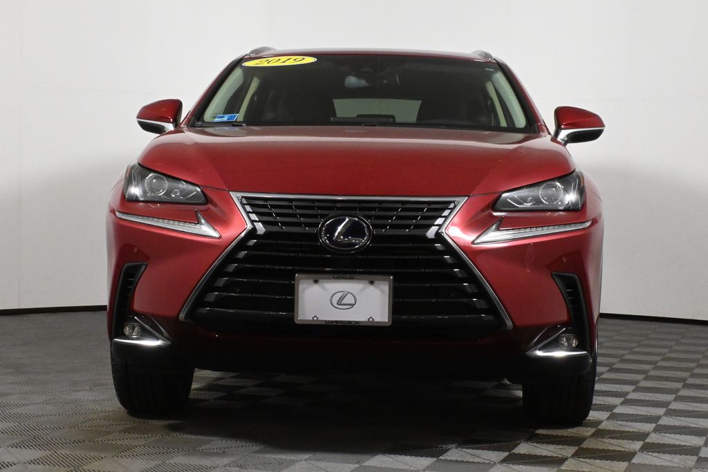 2019 Lexus NX Hybrid 300h 10
