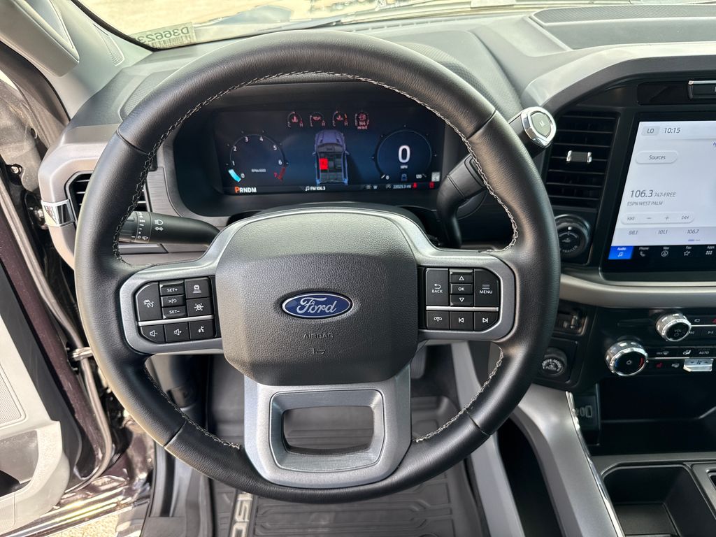 2025 Black Metallic Ford F-150 XLT RWD Truck
