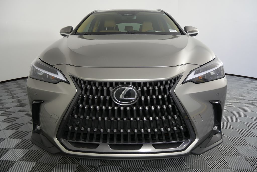 2024 Lexus NX 350 Premium 10