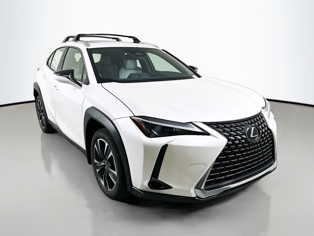 2025 Lexus UX 300h 3