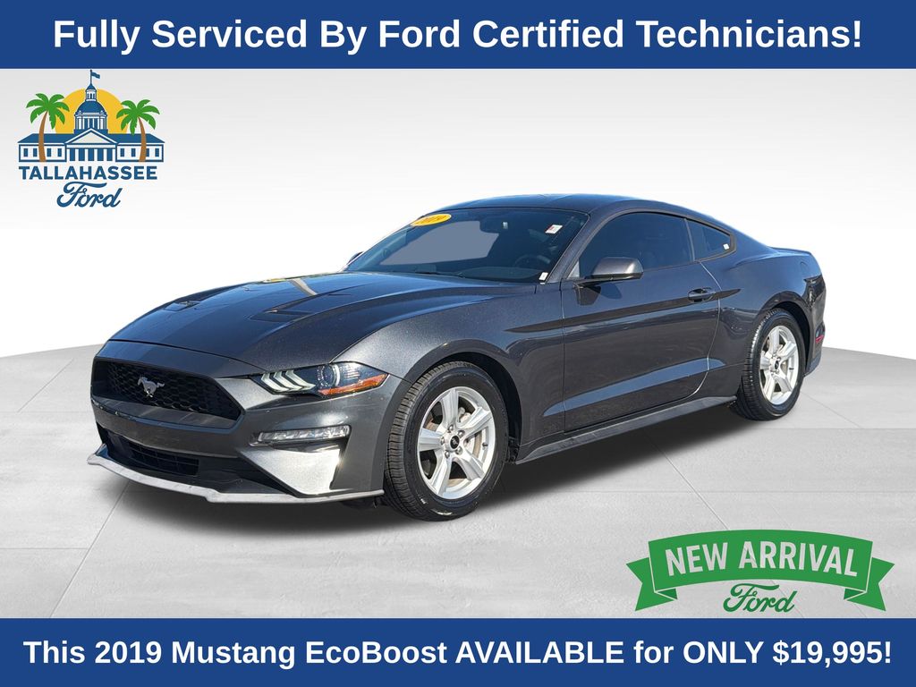 Gray (Magnetic Metallic) 2019 Ford Mustang EcoBoost Coupe RWD Coupe Rear-Wheel Drive Automatic