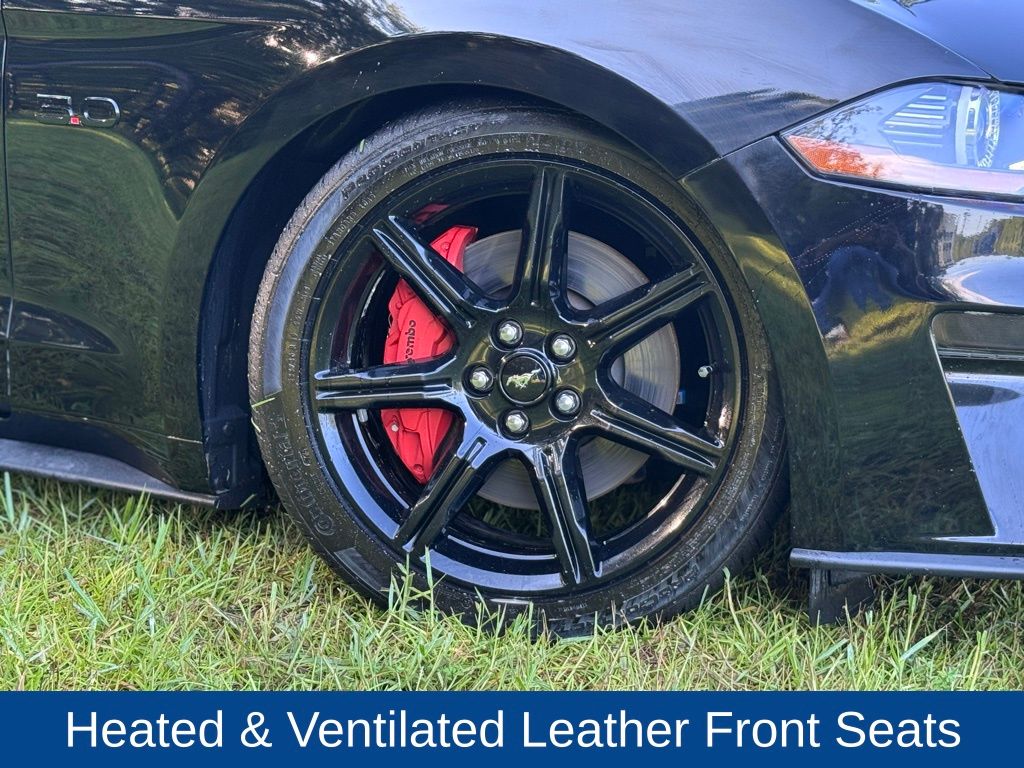 2019 Ford Mustang GT Premium