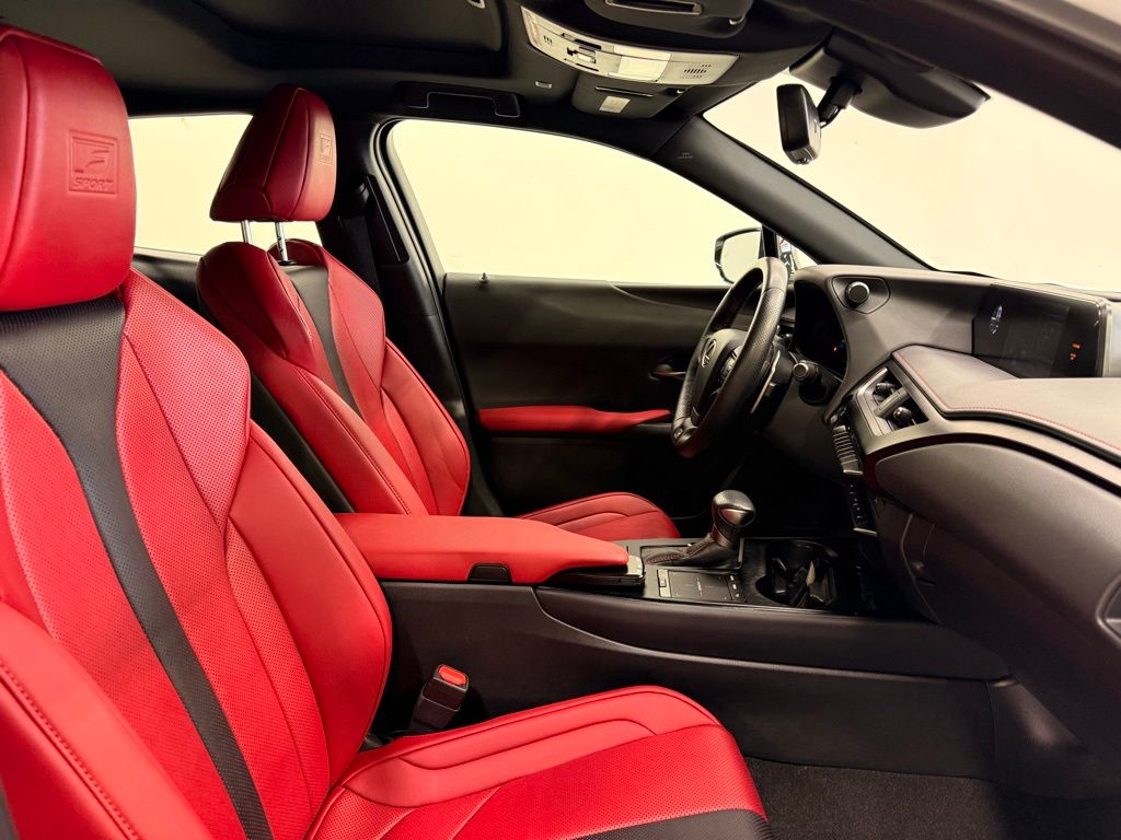 2021 Lexus UX 250h 30