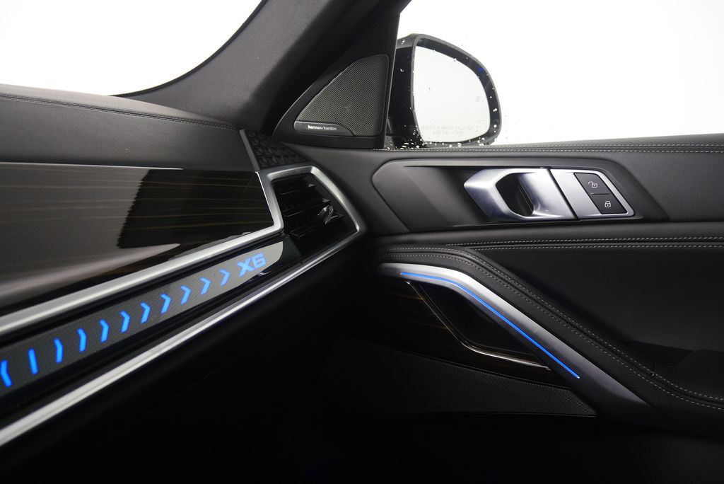 Thumbnail: 2025 BMW X6 - 31