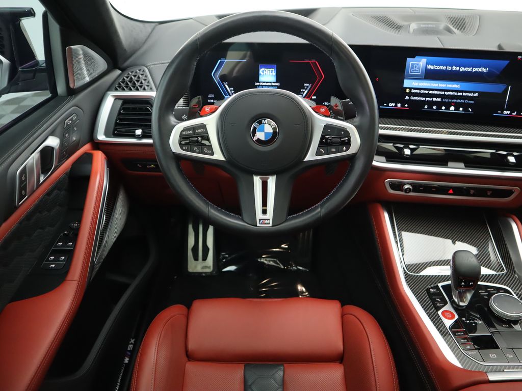 Thumbnail: 2024 BMW X6 - 10