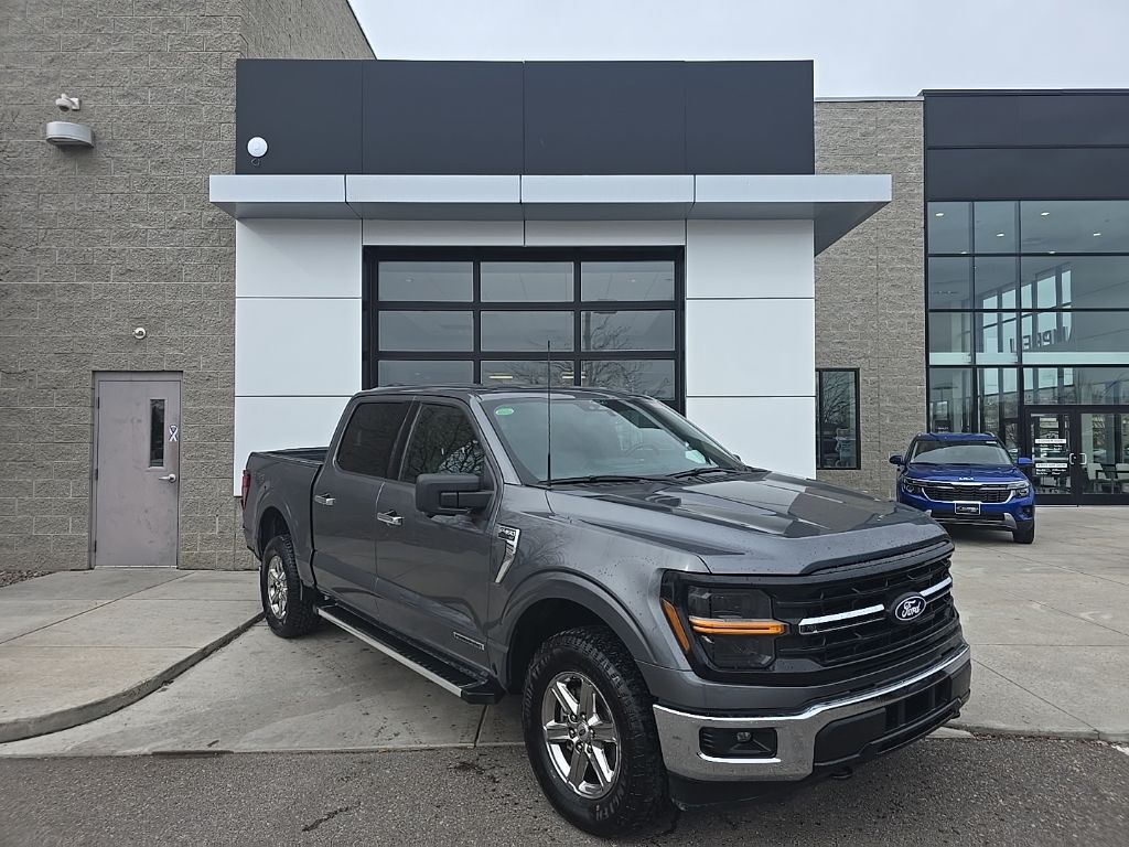 Gray Metallic 2024 Ford F-150 Pickup Truck Four-Wheel Drive Automatic