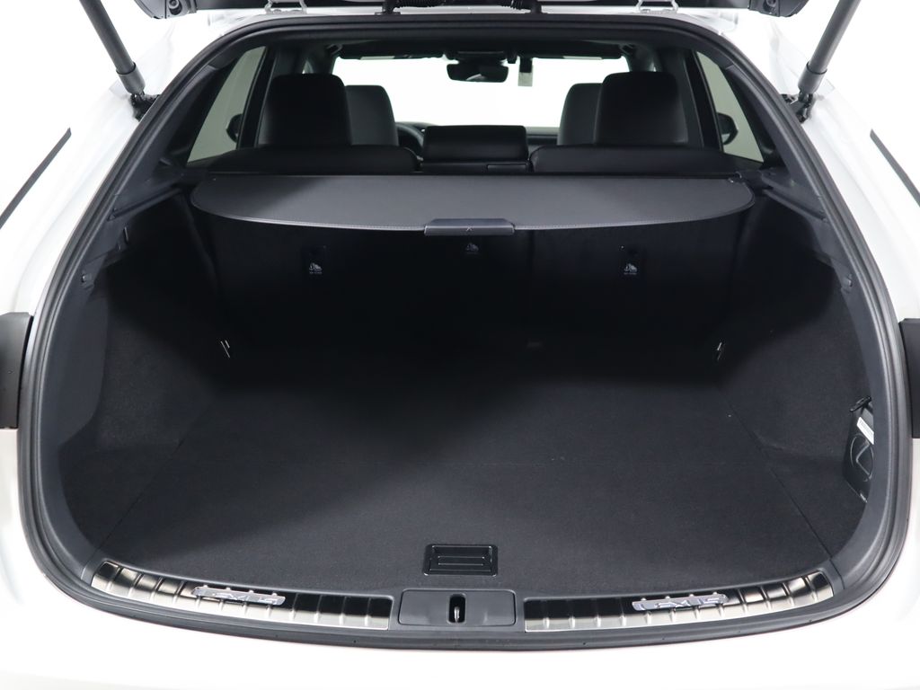 2024 Lexus RX 350 29