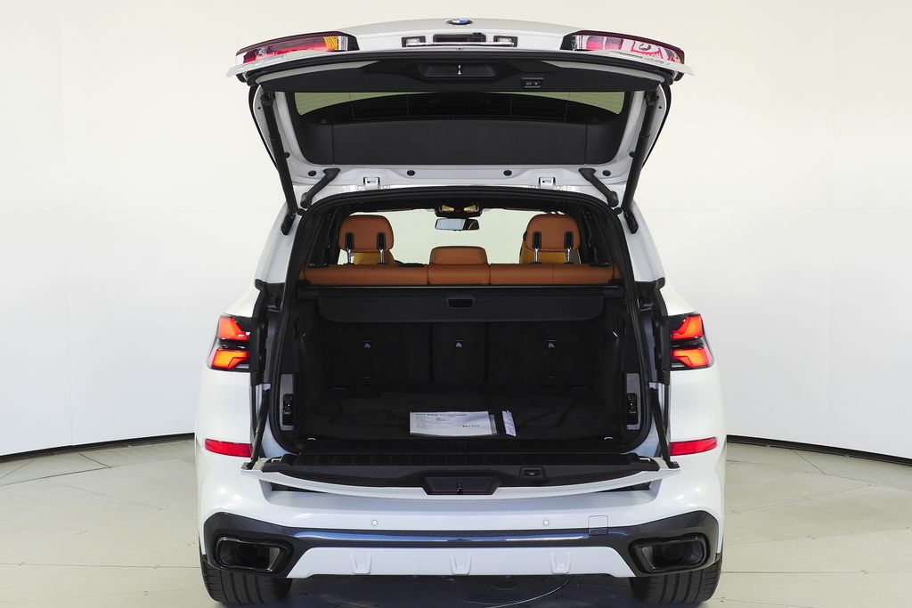 Thumbnail: 2024 BMW X5 - 10