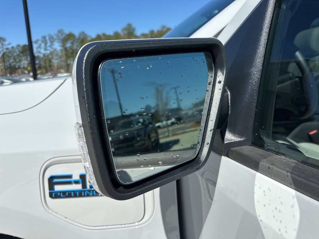 2024 Avalanche Ford F-150 Lightning Platinum AWD Truck