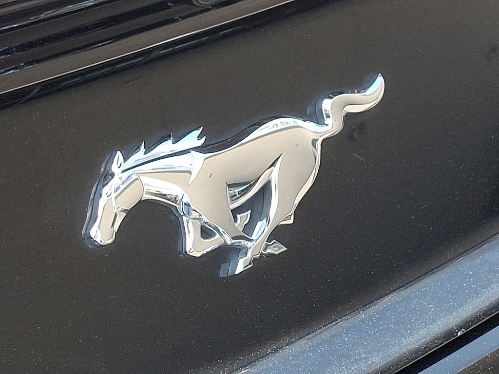 2016 Ford Mustang  28